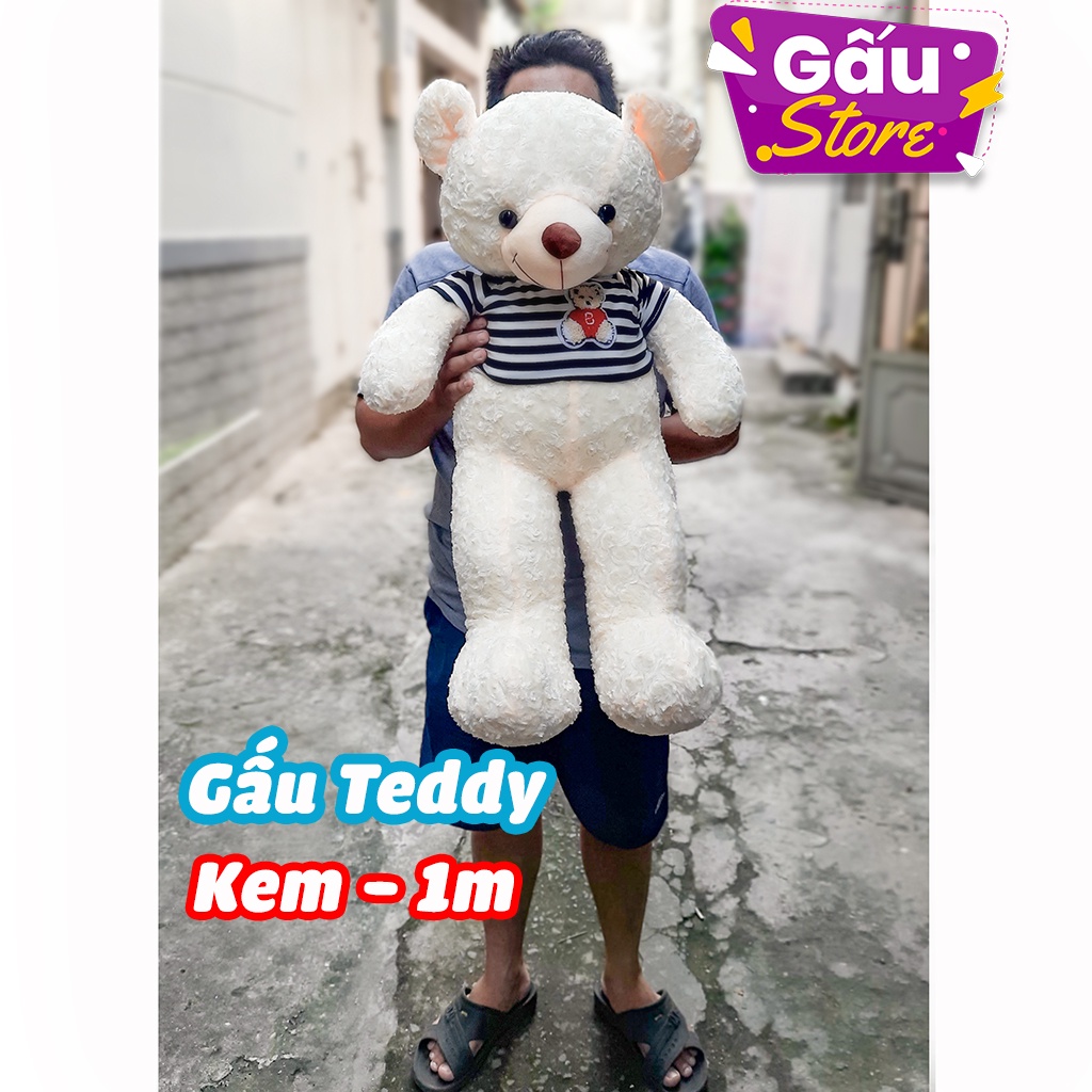 Gấu bông teddy 60cm - 80cm - 1m lông xoắn mềm mịn nhồi bông cao cấp (nhiều màu)