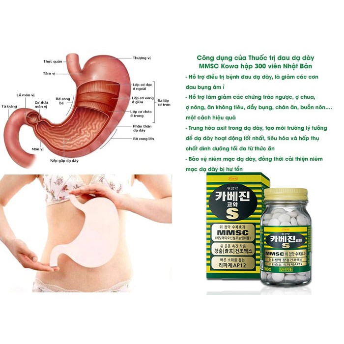 Dạ_Dày Kowa hộp 300 viên Nhật Bản | Thế Giới Skin Care