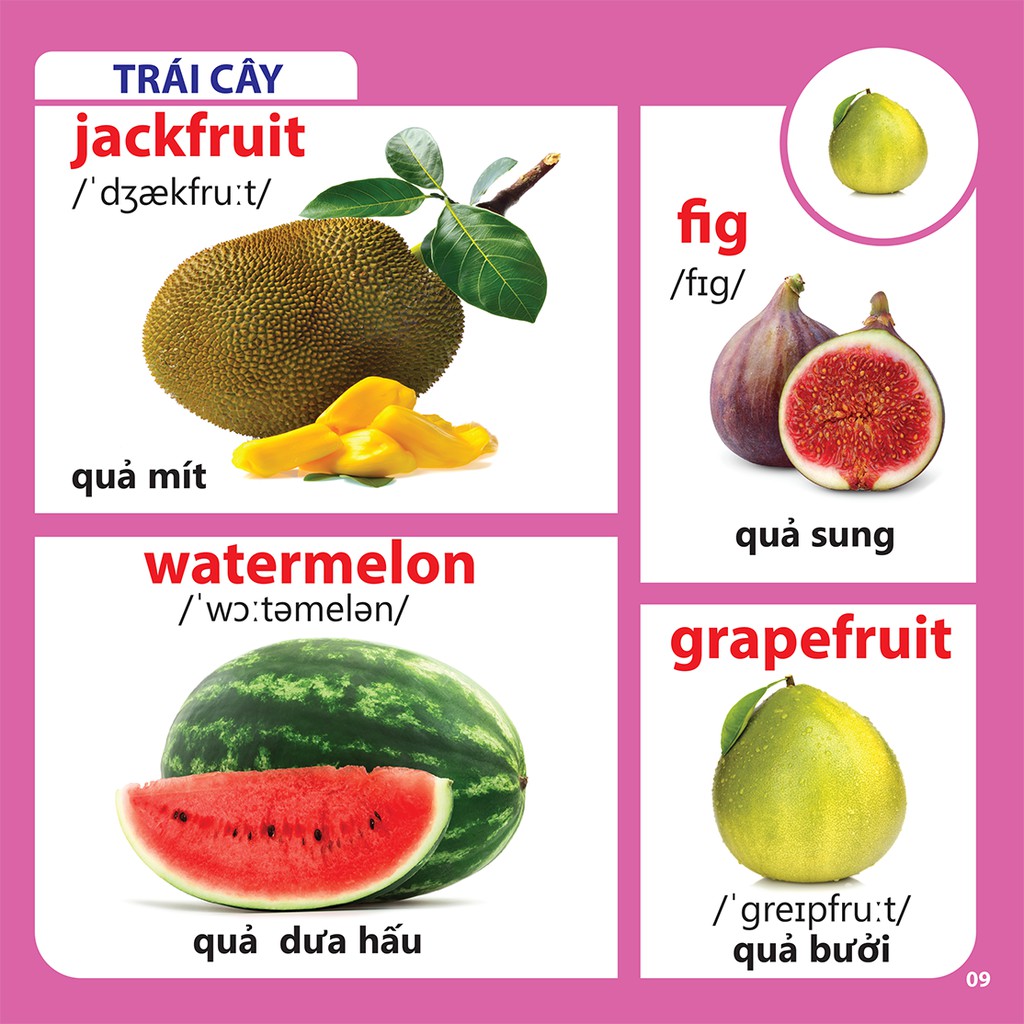 Sách - Bách khoa toàn thư cho bé - Rau-củ-quả (Tái bản 2019) | BigBuy360 - bigbuy360.vn