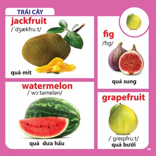 Bách Khoa Toàn Thư Cho Bé - Rau Củ Quả