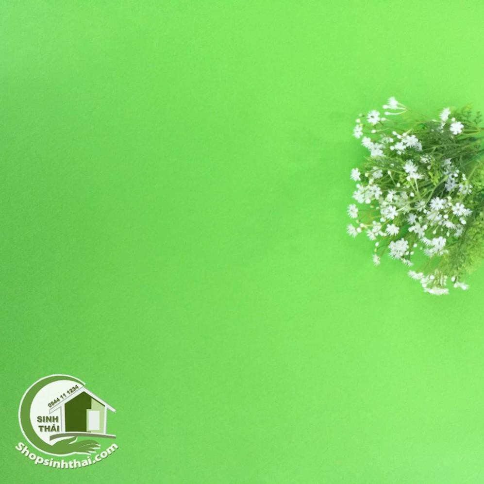 Phông nền chụp hình - giấy dán tường màu xanh lá cây nhạt -  - thảm chụp hình ảnh sản phẩm