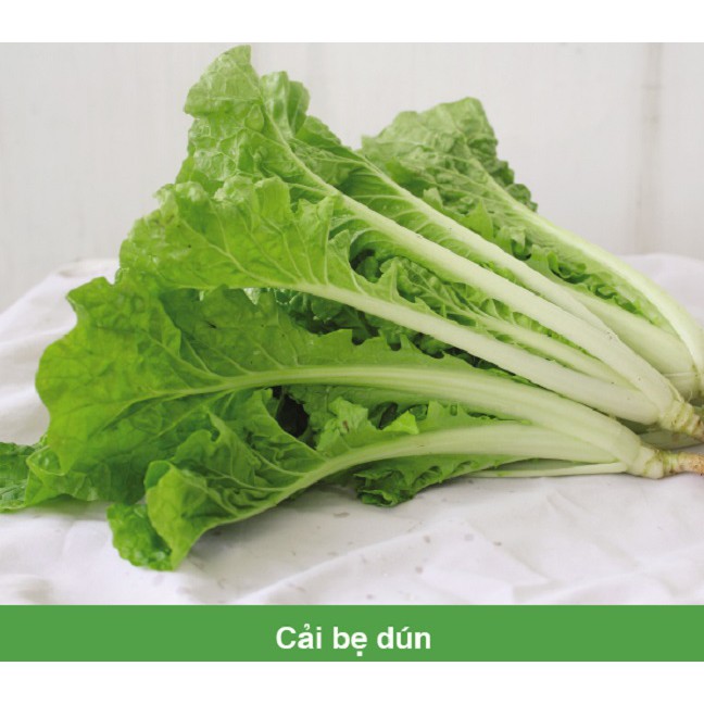 Hạt giống Cải Bẹ Dún 10gr trồng thùng xốp, thủy canh,...