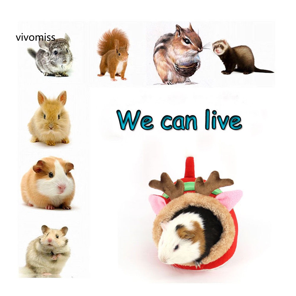 Giường ngủ thiết kế hoạt hình dễ thương dành cho chuột hamster