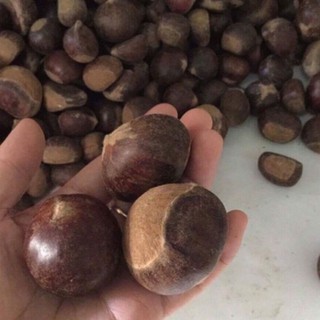 2kg hạt dẻ