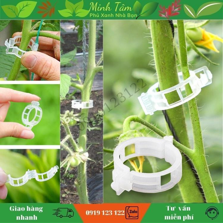 kẹp thân cà chua, dây leo - bịch 20 cái