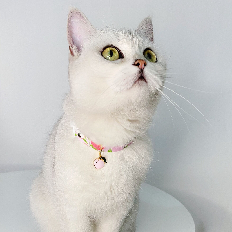 Vòng cổ đính chuông dễ thương cho thú cưng