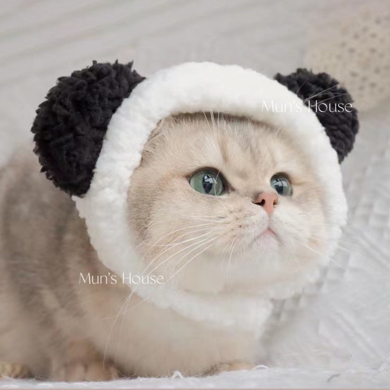 Mũ hình gấu xinh cho thú cưng