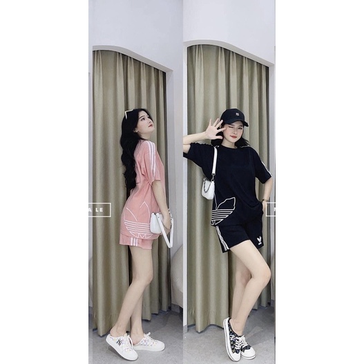 BỘ COTTON ĐÙI PHỐI 3 LÁ HÔNG ÁO BẢNG 4 MÀU CHO NỮ