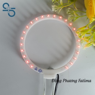 Đèn Hào Quang Led Loại 10,5Cm (NCDS-0051)