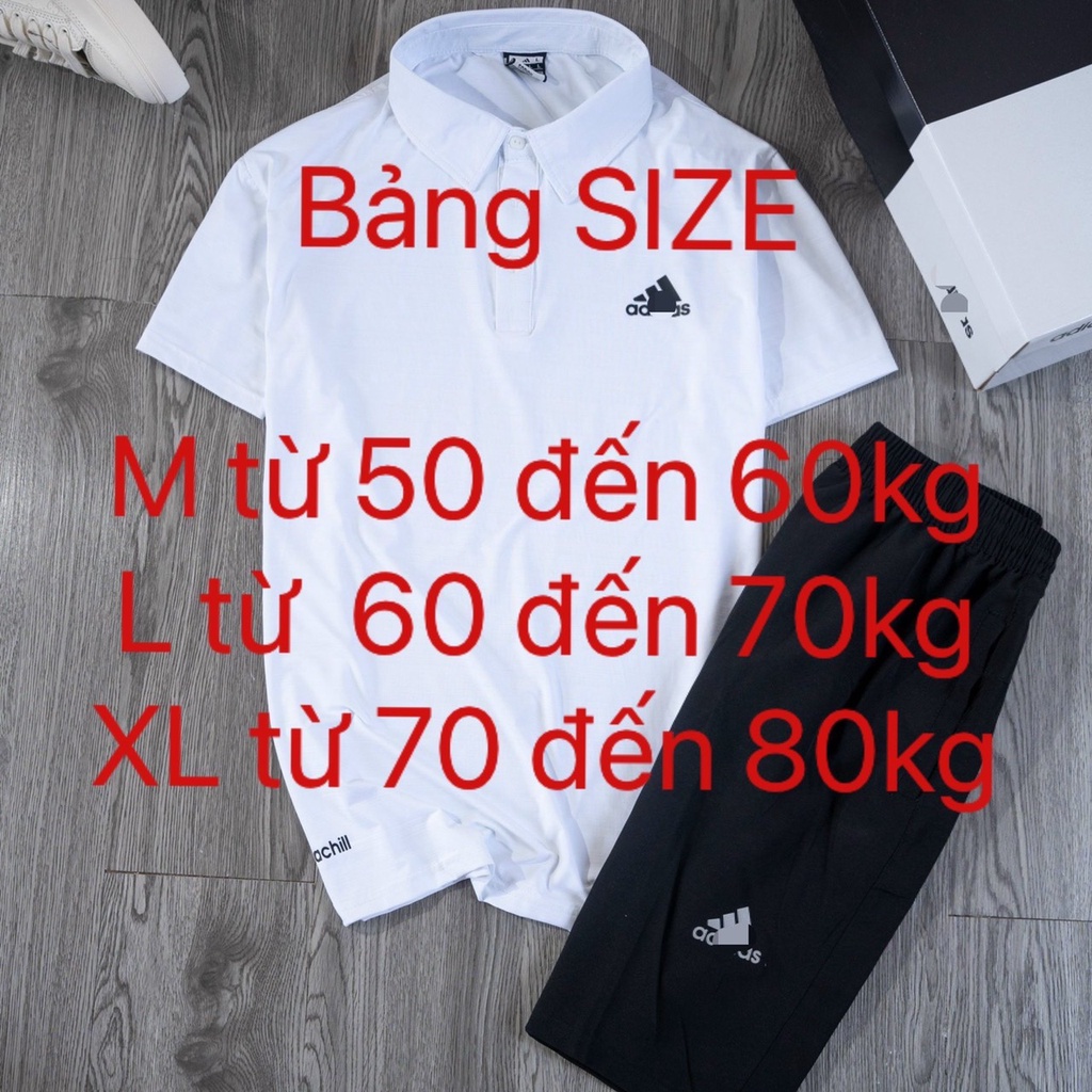Bộ thể thao nam mua hè, đồ bộ nam cao cấp, chất liệu co dãn thấm mồ hôi tôt, REMMY