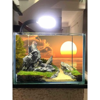 Tranh bể cá 3D