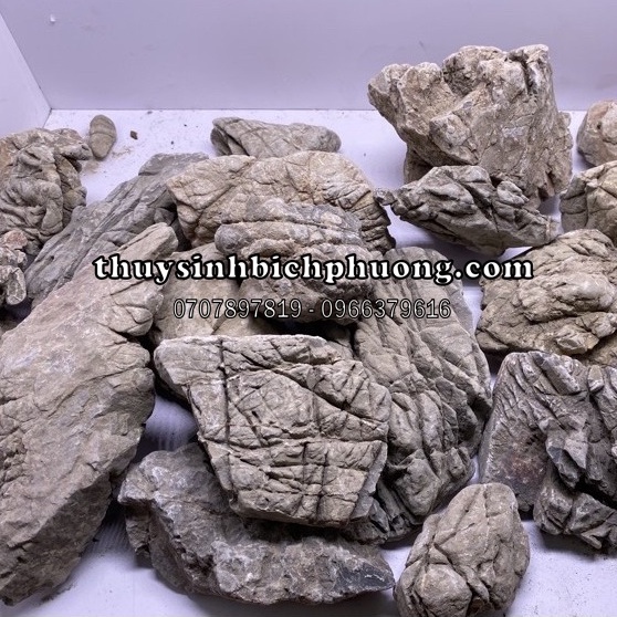 ĐÁ DA VOI 1 KG - THIẾT KẾ HỒ THUỶ SINH | IWAGUMI BIOTOP HỒ NÚI ĐÁ THUỶ SINH