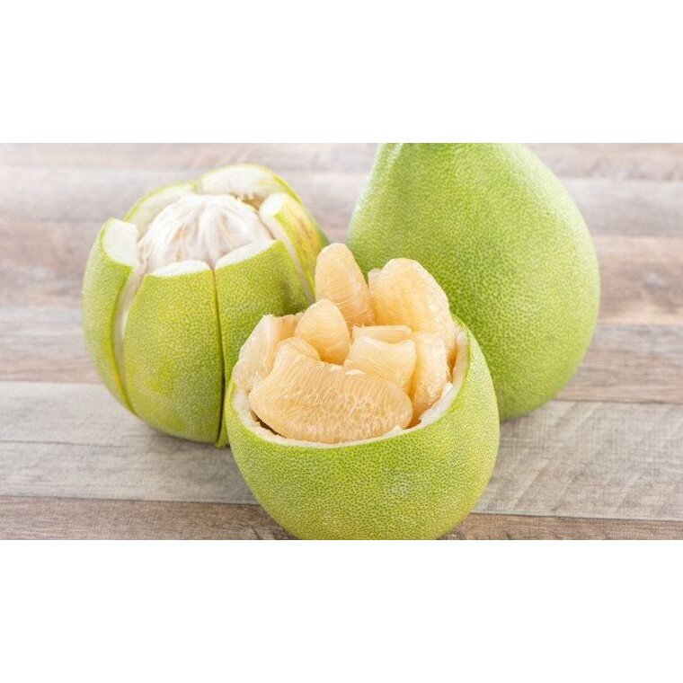 Cây giống Bưởi năm roi