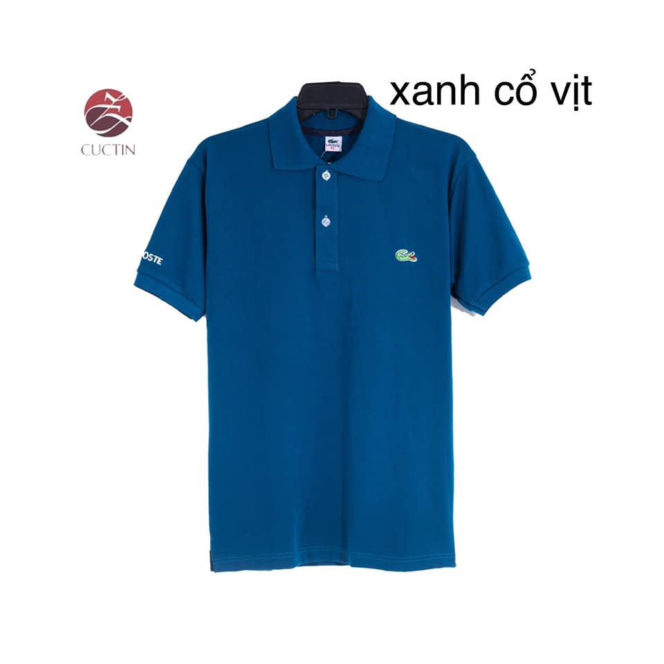 ÁO THUN CÁ SẤU, SIZE L - 3XL. CÚC TIN