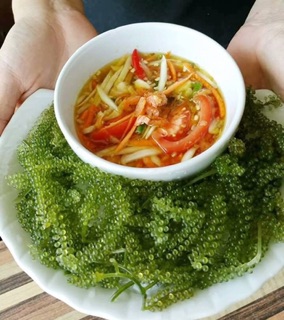 Rong nho biển tươi