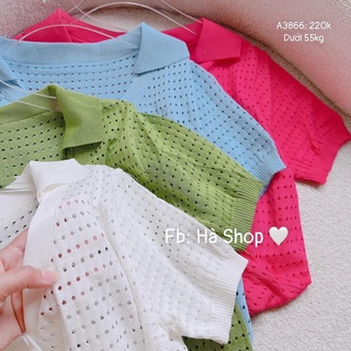 Áo lưới cổ V 4 màu cho nữ