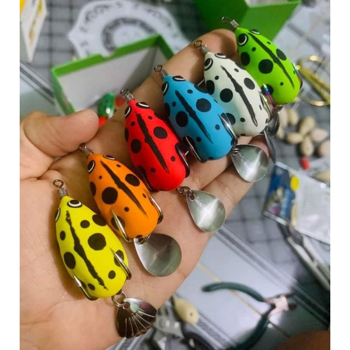 NHÁI HƠI SÓC CHUỘT