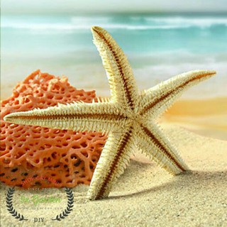 sao biển....
