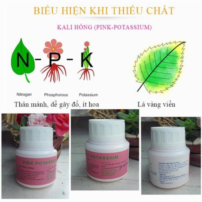 [Hiệu Quả-An Toàn-Tiết Kiệm]100g Phân bón kích thích cây ra hoa đậu trái. Tác dụng của phun Kali qua lá với cây trồng