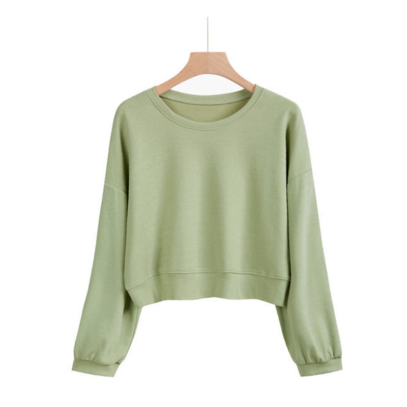 Áo sweater IELGY tay dài cổ tròn màu trơn phong cách Hàn Quốc thời trang cho nữ