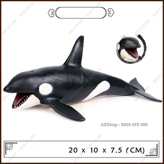 Mô Hình Cá Voi Sát Thủ - Hunter Whale 20cm - 7673.8