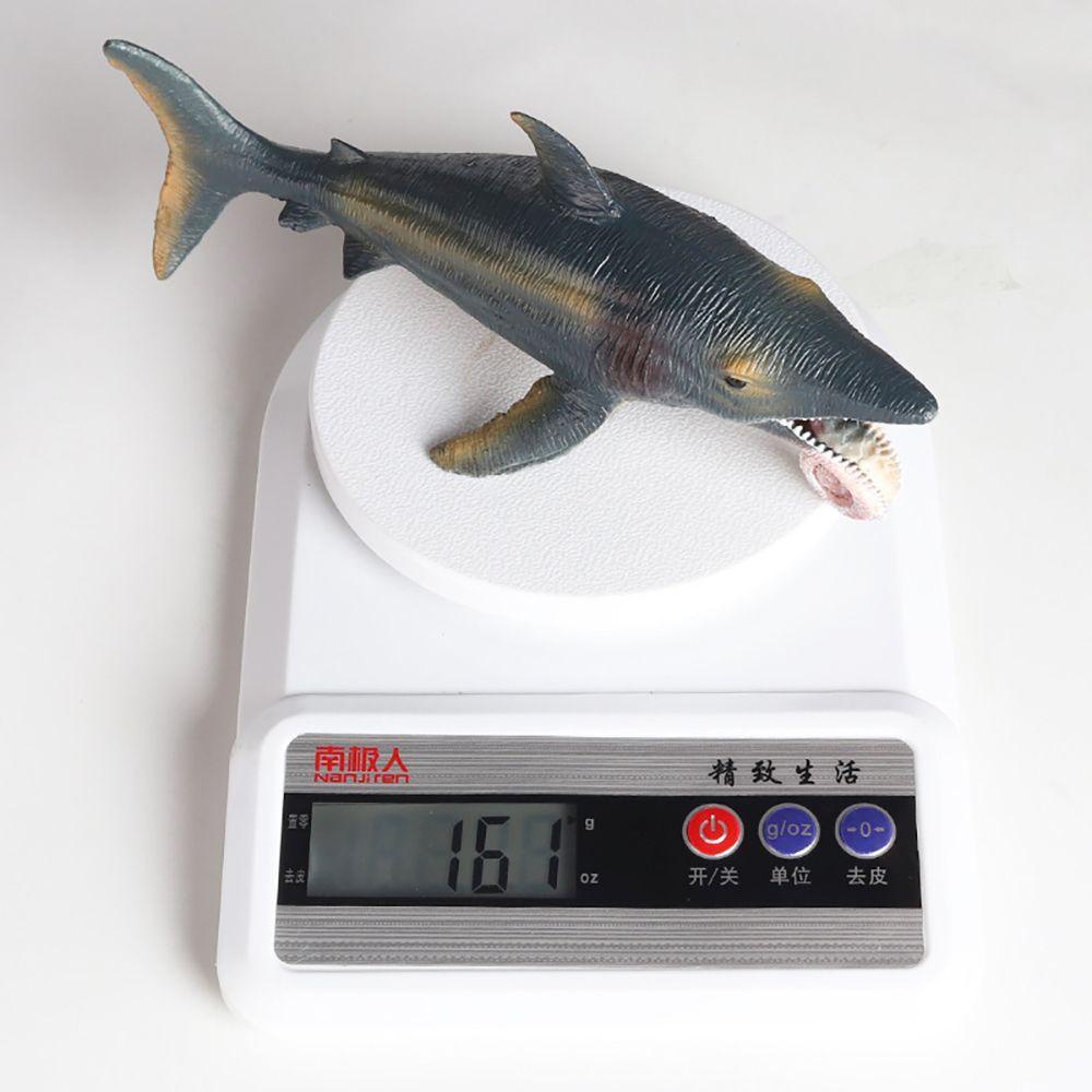 Mô Hình Phong Cảnh Biển Helicoprion Độc Đáo