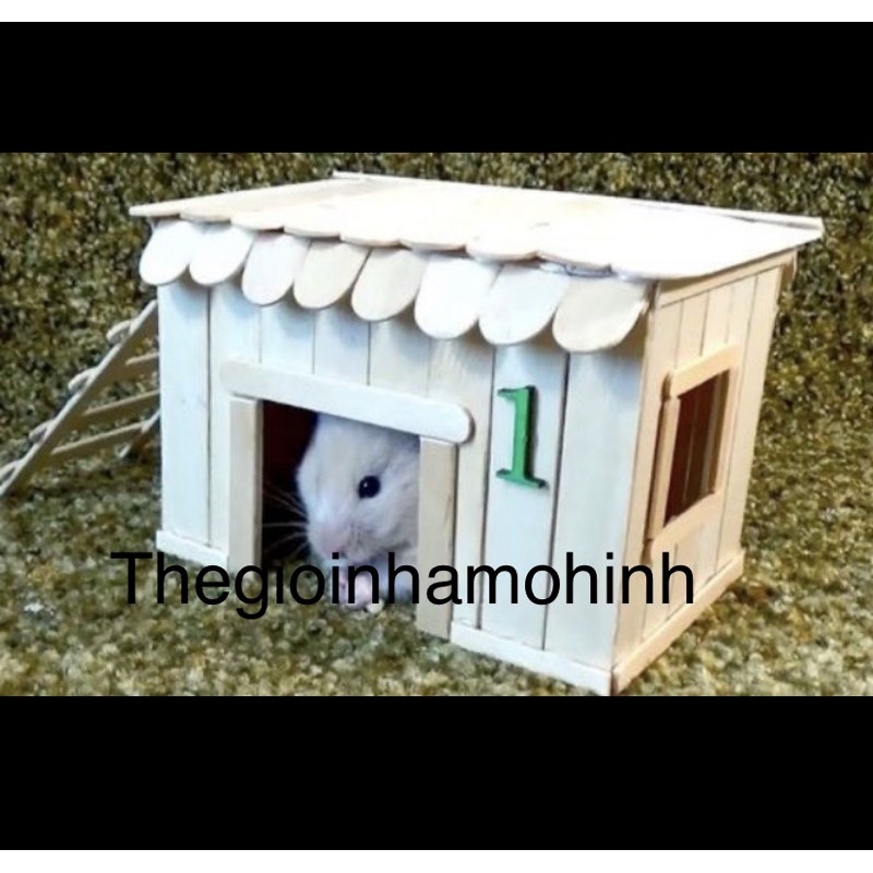 Nhà que kem, nhà cho chuột hamster , mô hình, diy, que kem handmade