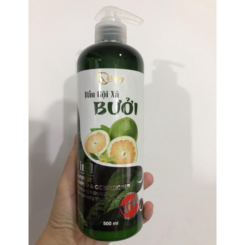 Dầu gội xả BƯỞI CatChy 2in1 thúc đẩy quá trình mọc tóc và chống rụng tóc  | BigBuy360 - bigbuy360.vn