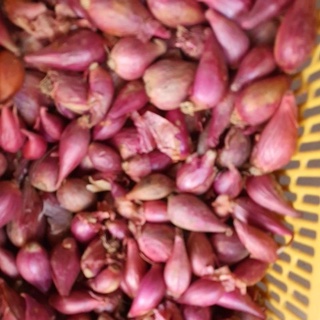 hành khô tỏi khô