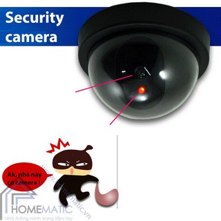 Camera Mô Hình Chống Trộm Có Đèn Led Cảnh Báo