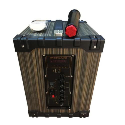 Loa kéo di động JBZ NE-j6, loa karaoke 2 tấc, công suất max 100W