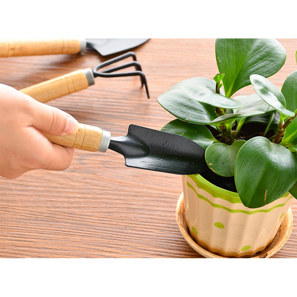 (Video Review) Bộ Cuốc Xẻng Mini Trồng Cây Cảnh SIZE LỚN - Dụng Cụ 3 Món Chăm Sóc Cây Bonsai, Làm Vườn, Chăm Xương Rồng