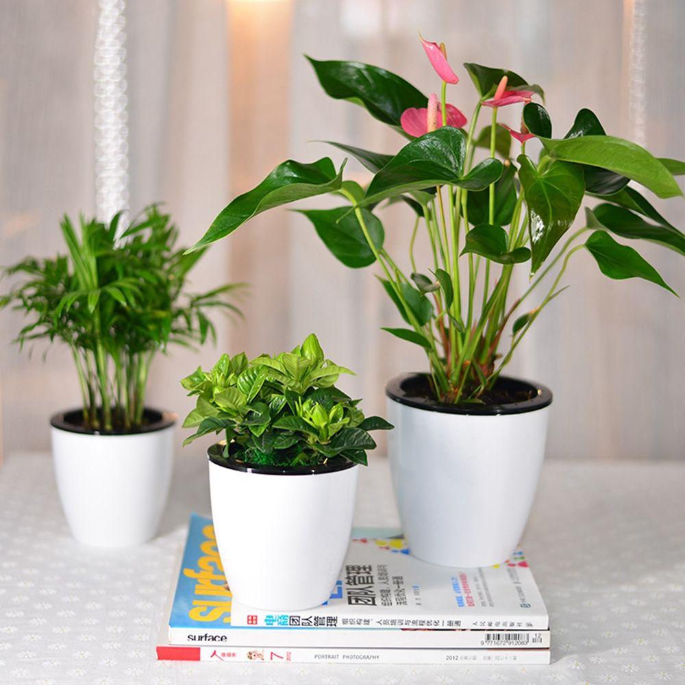 Chậu Hoa Bằng Nhựa Resin Để Bàn Trang Trí Văn Phòng / Sân Vườn