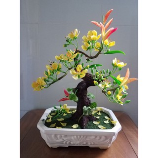 Chậu hoa trang trí handmade (note tên khách đặt)