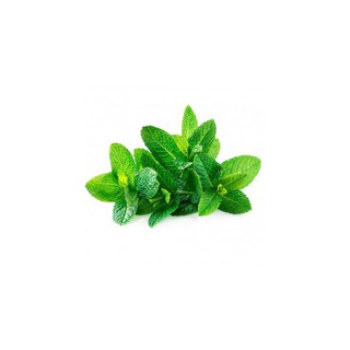 0.1g Hạt Giống Húng Bạc Hà (Hàng Loại 1)
