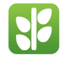 phukienthongminh_vietnam