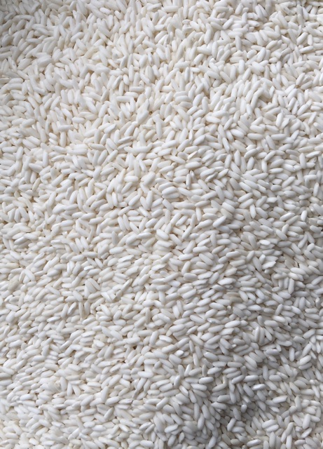 Gạo nếp Thái gạo nếp hạt dài | BigBuy360 - bigbuy360.vn