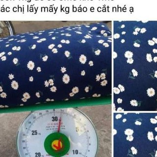 Vải chị hà vũ 2 xanh. 1 đỏ