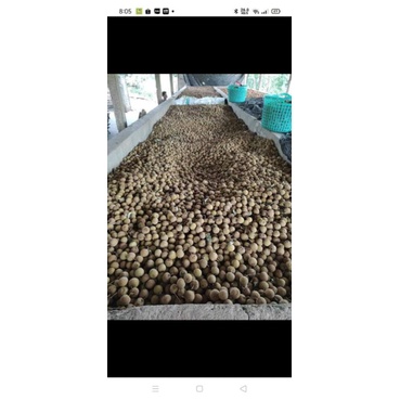 VẢI THIỀU SẤY KHÔ BẮC GIANG 1KG | BigBuy360 - bigbuy360.vn