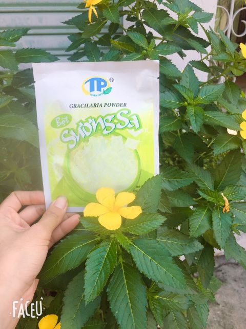BỘT LÀM SƯƠNG SA THUẬN PHÁT GRACILARIA POWDER