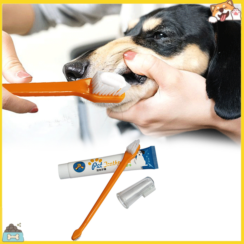Bàn chải đánh răng kèm tuýp kem vệ sinh răng cho thú cưng