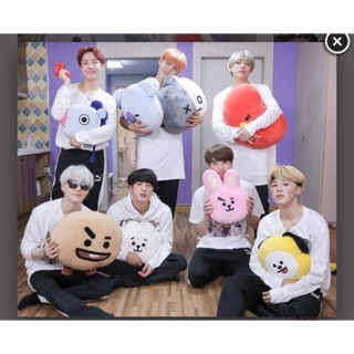 Gấu bông BT 21