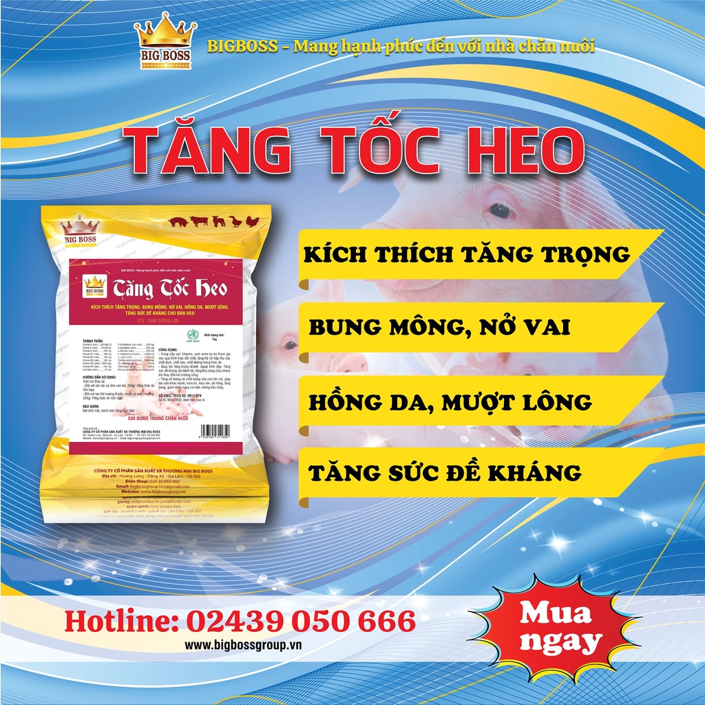 Tăng tốc heo, tăng trọng heo hấp thụ các chất, giúp  heo ham ăn, mau lớn  gói 1kg