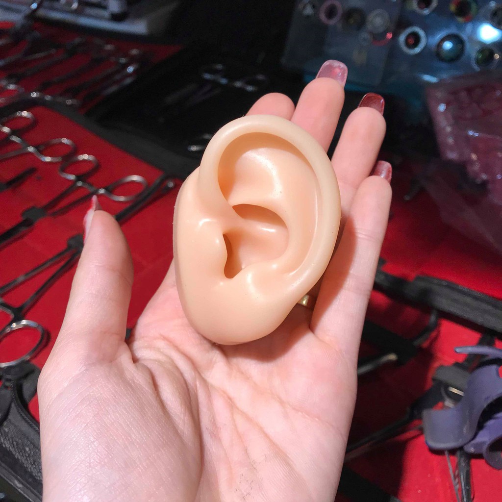 TAI SILICON TẬP XỎ/ MÔ HÌNH XỎ KHUYÊN TAI