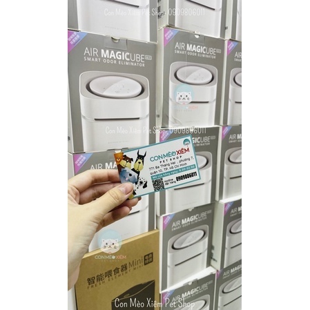 Máy lọc không khí cho chó mèo Petkit air magic cube khử mùi vệ sinh thú cưng Con Mèo Xiêm
