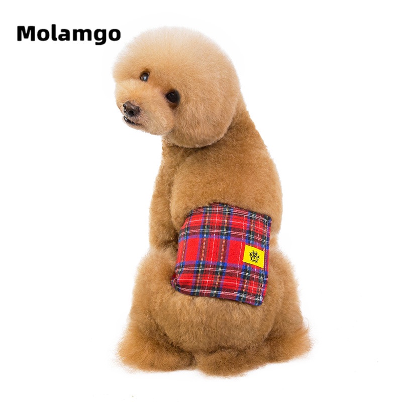 Quần lót sinh lý chống rối cho thú cưng