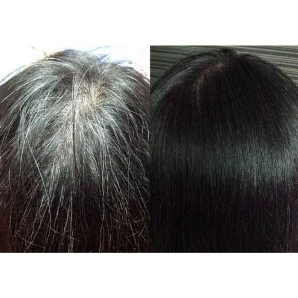 Dầu gội phủ bạc SIN HAIR Nhật Bản 500ml chính hãng nhuộm đen nâu tóc dầu gội nhuộm tóc thảo mộc nhân sâm tự nhiên