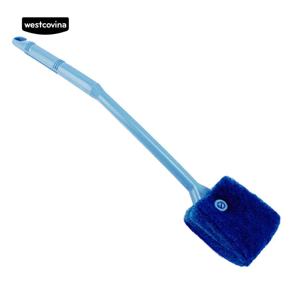 Cây vệ sinh kính hồ cá