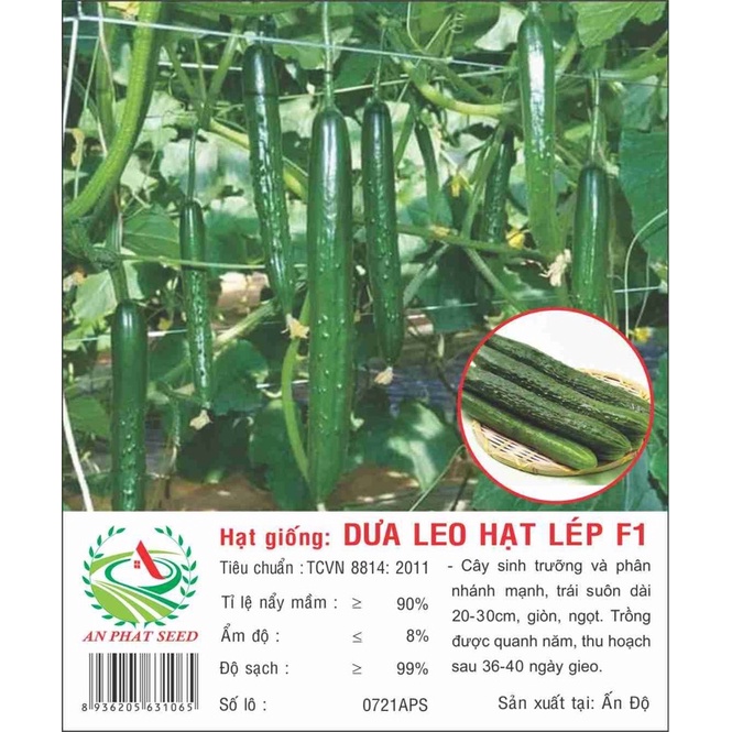 Hạt giống Dưa Leo Hạt Lép 0.5g