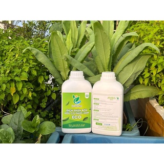 Dịch phân bón hữu cơ phức hợp Eco